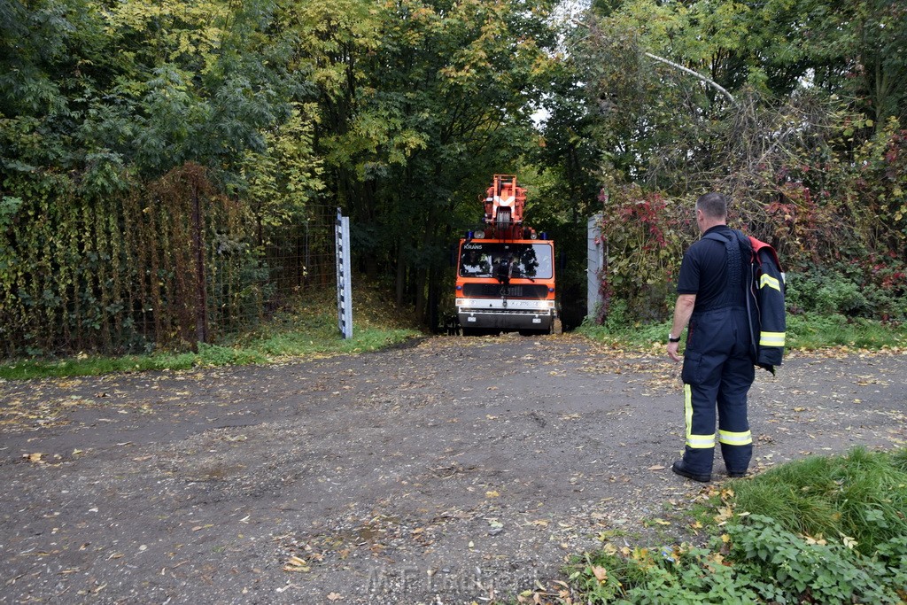 Einsatz BF Koeln PKW im See Koeln Esch P257.JPG - Miklos Laubert